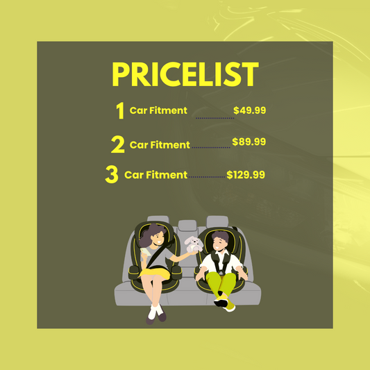 Child Car Seat Inspection and Fitment