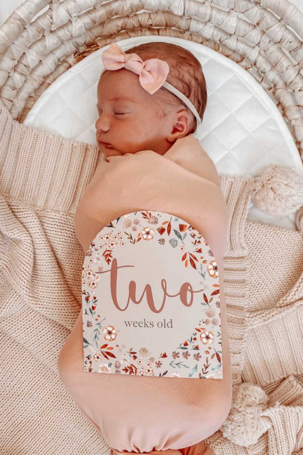 Bloom | Baby Milestone Cards