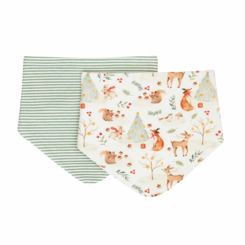 Bandana Bibs 2pk