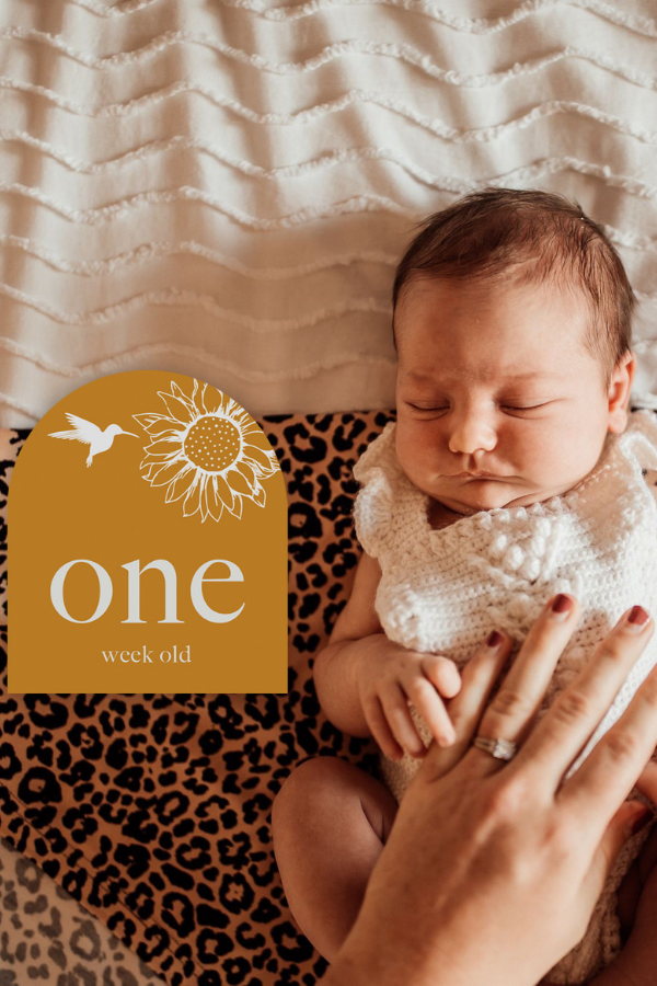 You are My Sunshine | Baby Milestone Cards