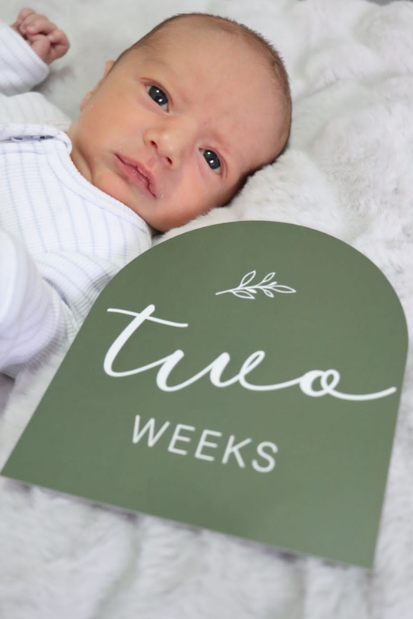 Earthly | Baby Milestone Cards
