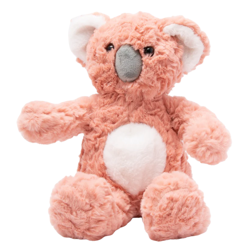 Clara the Koala