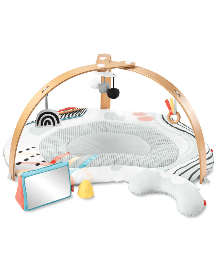 Discoverosity Deluxe Activity Gym