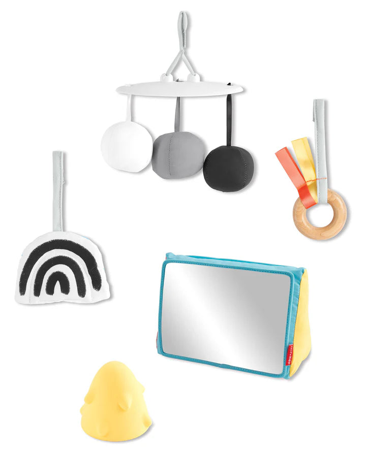 Discoverosity Deluxe Activity Gym