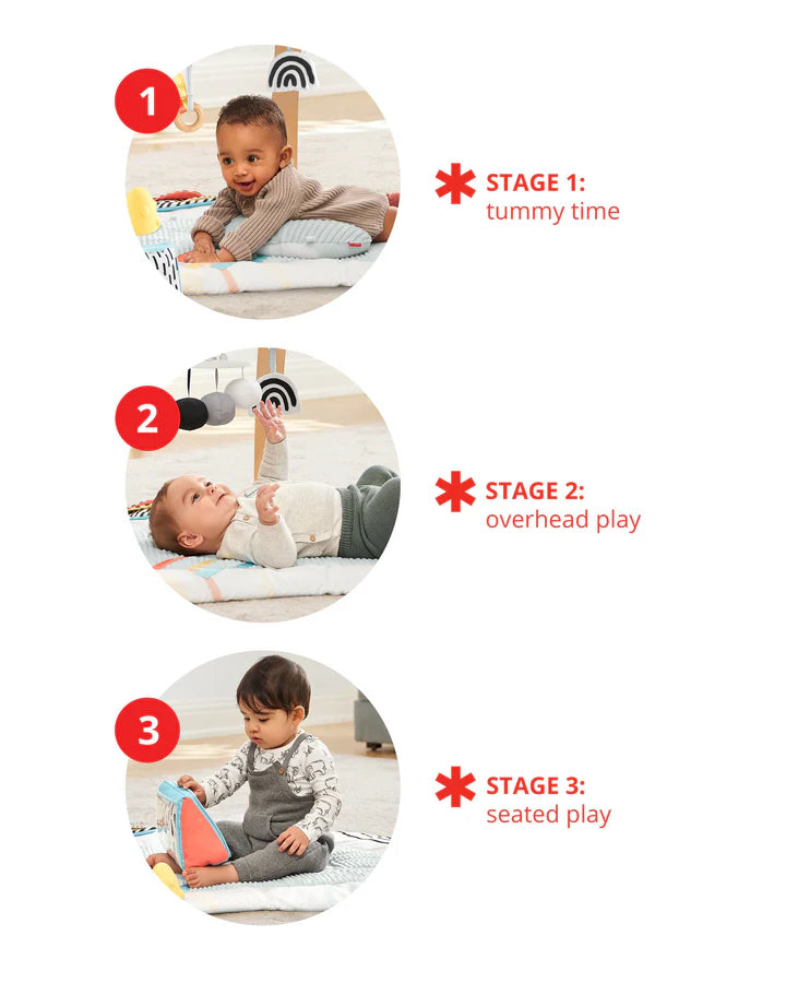 Discoverosity Deluxe Activity Gym