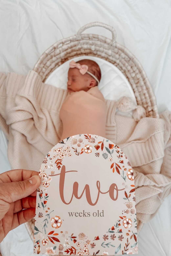 Bloom | Baby Milestone Cards