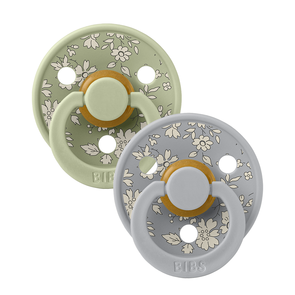Bibs Liberty Capel Pacifiers 2pk