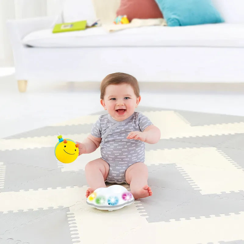 Skip Hop Explore & More - Follow Bee Crawl Toy