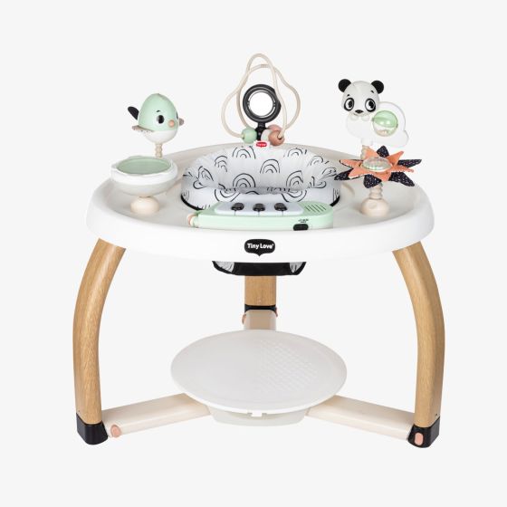 Black & White Stationary Activity Centre