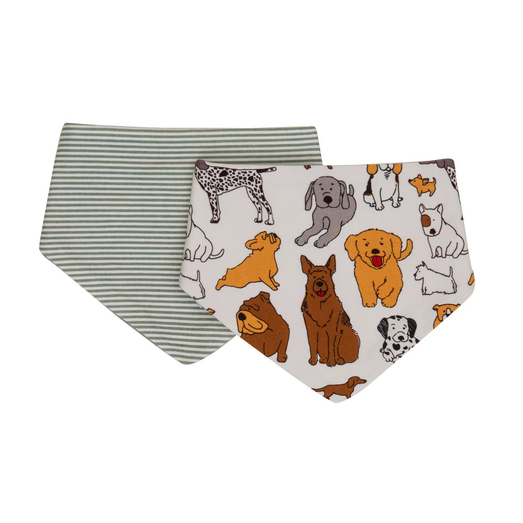 Bandana Bibs 2pk