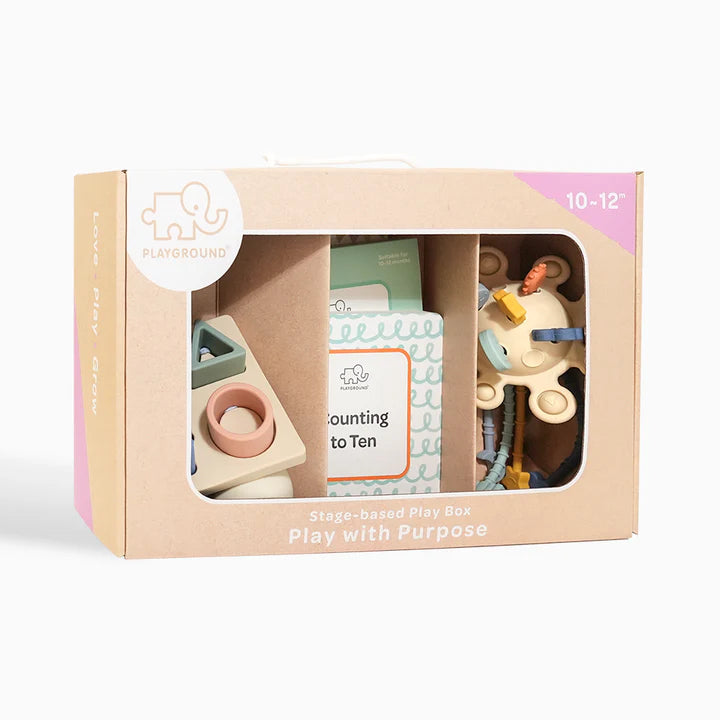 Playground Box 4: Play with Purpose (10-12M)