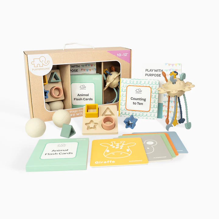 Playground Box 4: Play with Purpose (10-12M)