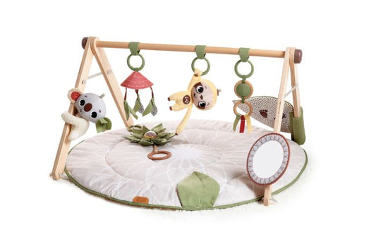 Boho Chic Luxe Gymini