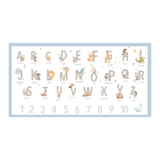 Disposable placemat - pack of 20
