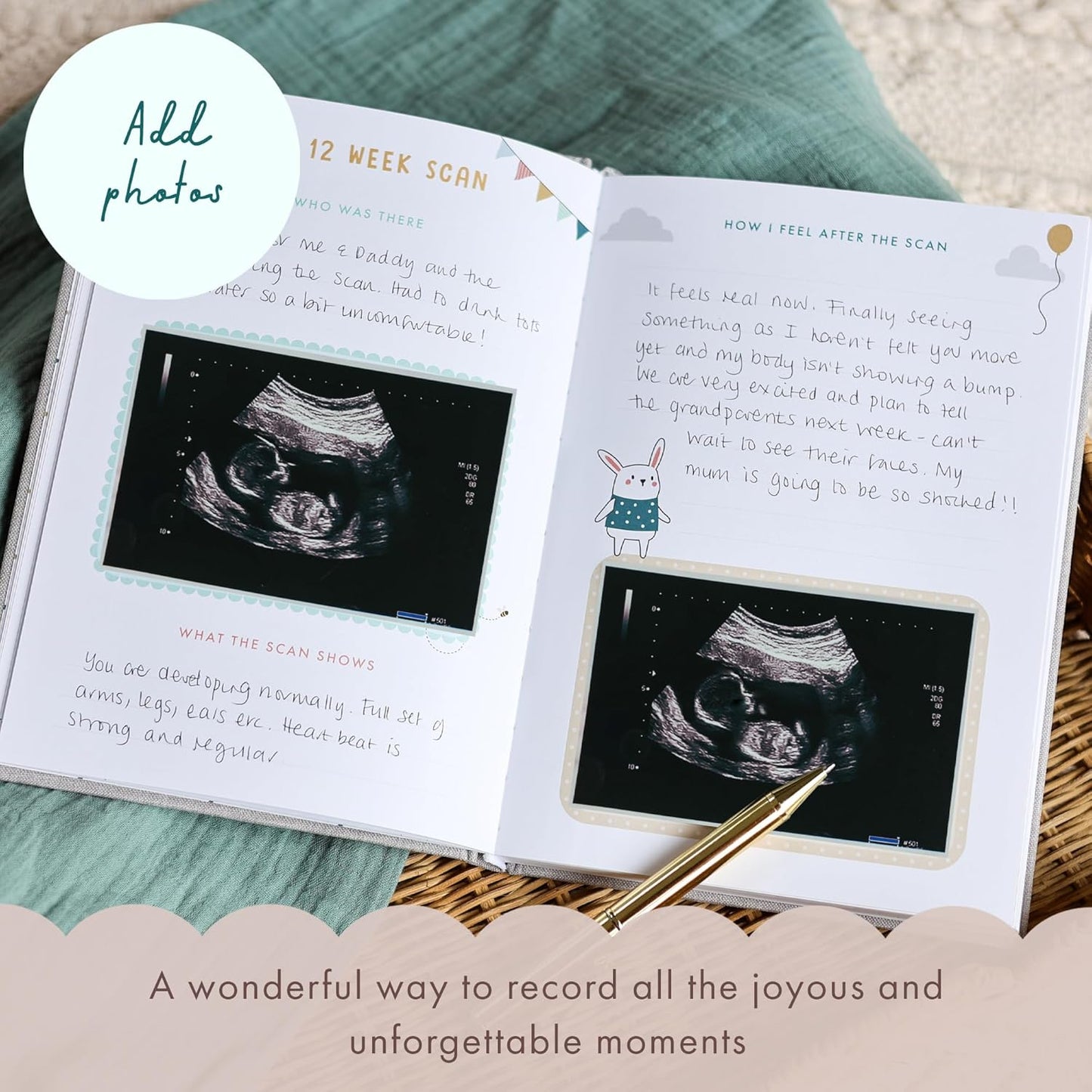 Bump to Birthday Hardcover Book