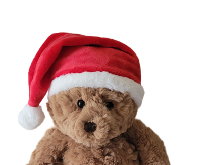 Christmas Hat