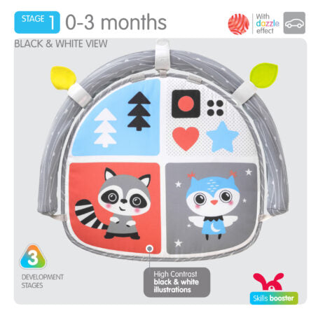 Benbat Double Sided Car Seat Activity Arch
