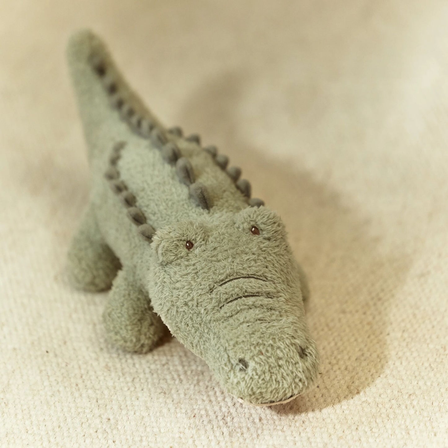 Cuddle Crocodile - Safari Friends