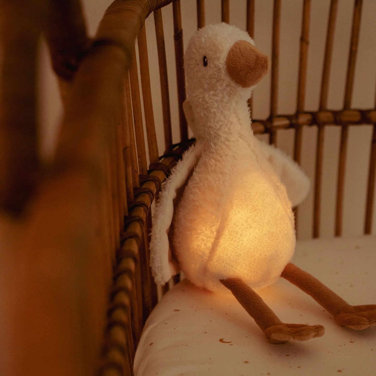 Cuddle Goose Light & Sound - Newborn Naturals