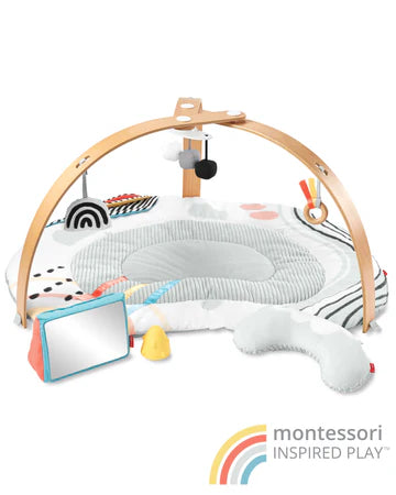 Discoverosity Deluxe Activity Gym