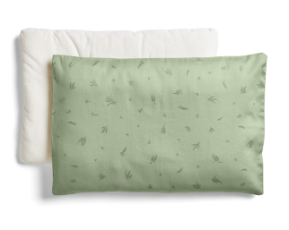 Organic Toddler Pillow And Case