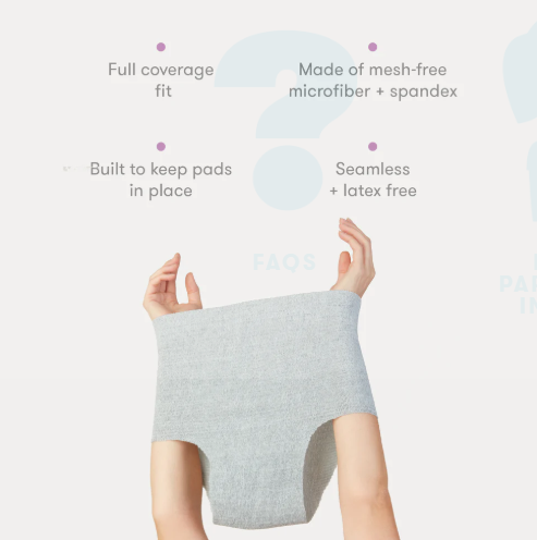 Frida Mom Disposable HighWaist Underwear