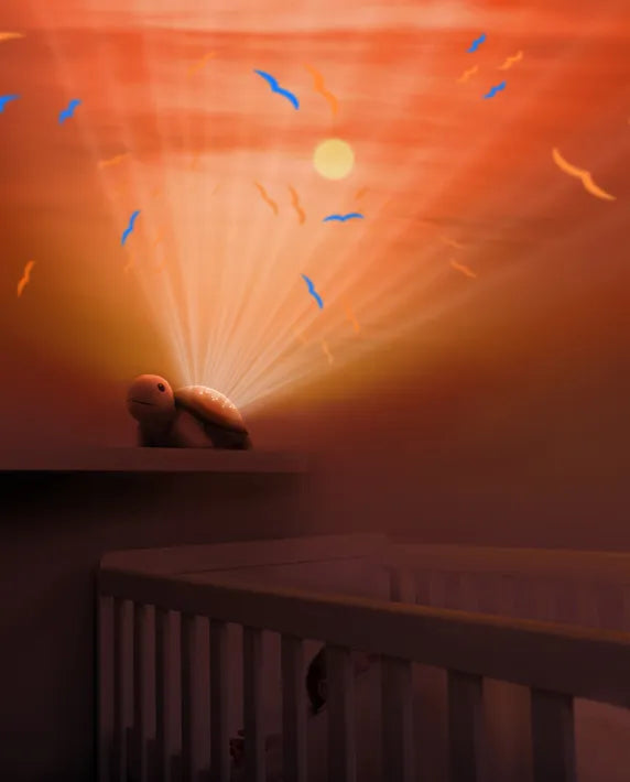 Sunset Projector Tim