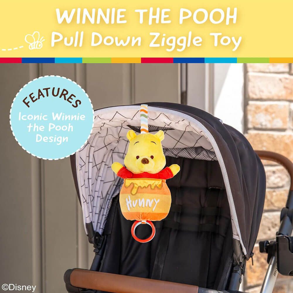 WINNIE THE POOH PULL DOWN HONEY POT ZIGGLE TOY
