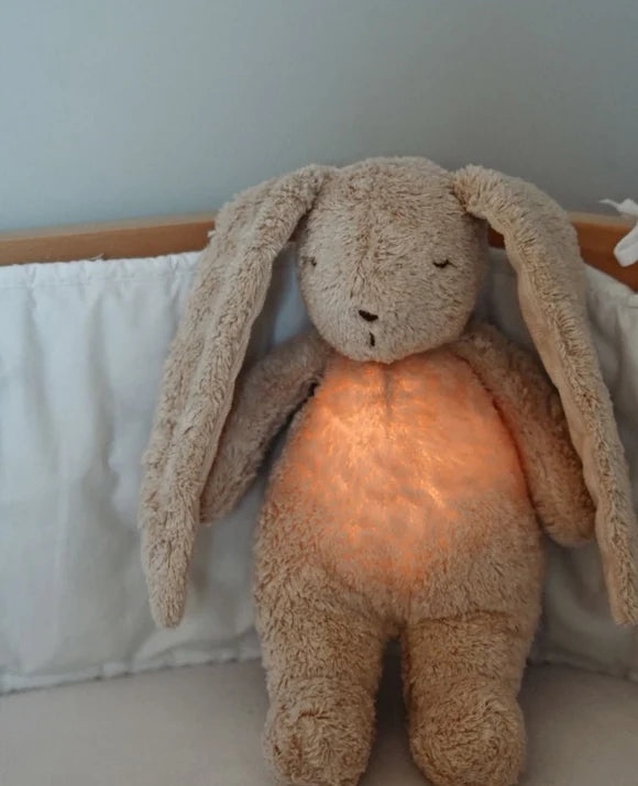 Humming Bunny