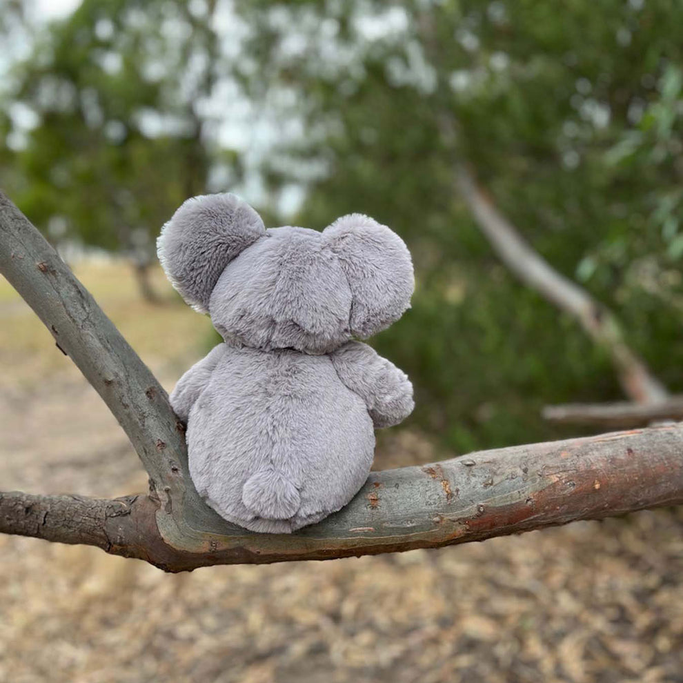 FurFolk Koala