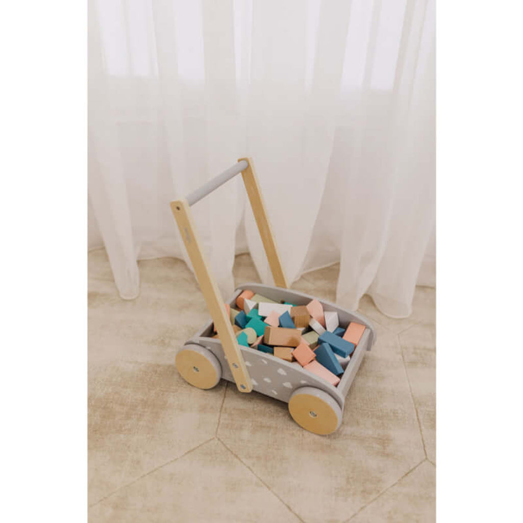 Bubble Wooden Baby Push Cart & Walker with 46 Building Blocks