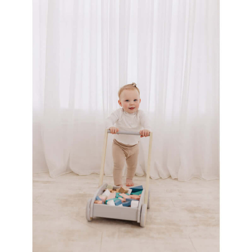 Bubble Wooden Baby Push Cart & Walker with 46 Building Blocks